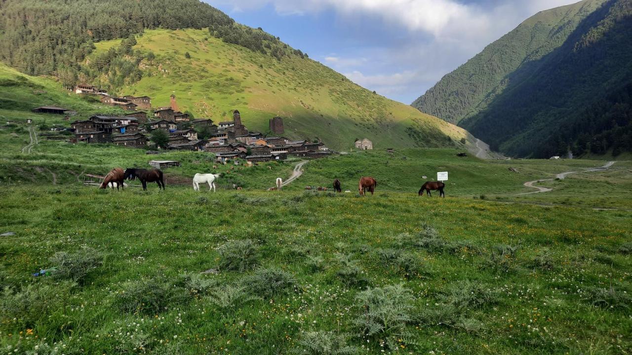 Guesthouse Pirimze Dartlo Esterno foto